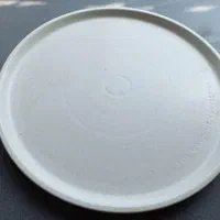 سینی ۳۷ سانتی ماکروفر پاناسونیک ۴۲ لیتری|اجاق گاز و لوازم برقی پخت‌وپز|مشهد, آبکوه|دیوار