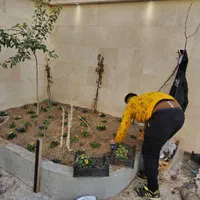 خدمات باغبانی وسمپاشی|خدمات باغبانی و درختکاری|نیشابور, |دیوار