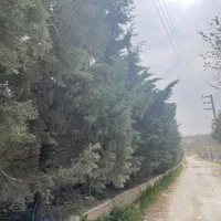 *زمین باغ بدون مشابه ارزنده در دل طبیعت درمهراباد*|فروش زمین و ملک کلنگی|رودهن, |دیوار