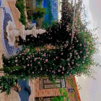 اجاره باغ ویلا