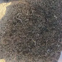 خارشتر تمیز و نرم