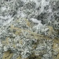 کاموا