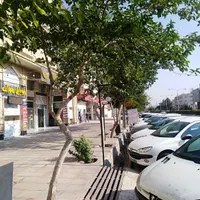 اجاره آپارتمان تجاری دفتر اداری بر اصلی