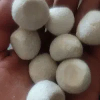 کشک گوسفند