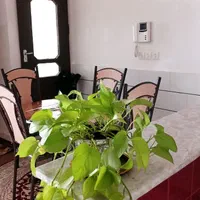 منزل مبله یک خواب  پارکینگ  دربست جوابگو ۲۴ ساعته|اجارهٔ کوتاه‌مدت آپارتمان و سوئیت|کاشان, شهرک انقلاب|دیوار