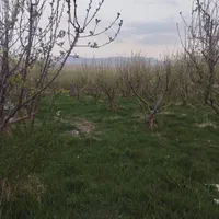 تنها فروشنده باغ و ویلا روستا نام آور فیروزکوه۵۰۰m|فروش زمین و ملک کلنگی|فیروزکوه, |دیوار