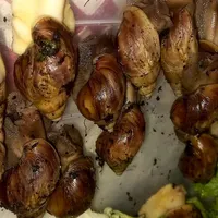 جوجوه حلزون آلبینو رایگان  وخاویار تازه موحوده|خزنده|تهران, افسریه|دیوار