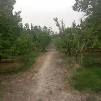 فروش فوری سند تکبرگ