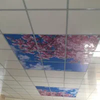 کناف تایل پی وی سی|خدمات پیشه و مهارت|دوگنبدان, |دیوار