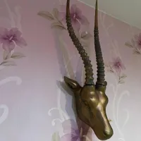 کله بز کوهی کلکسیونی