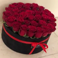 ،رزهلندی باکس ، سفارش ،گلفروشی|گل و گیاه طبیعی|تهران, افسریه|دیوار