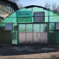 فروش نهال بلوبری رزبری پاپایا گواوا استویا هانیبری|گل و گیاه طبیعی|تهران, وردآورد|دیوار