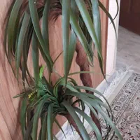 گل مصنوعی