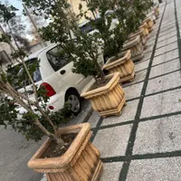 آبنما گلدان مجسمه بتن گلاس شیک مجلل|مصالح و تجهیزات ساختمان|کرج, عظیمیه|دیوار