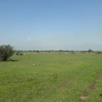 اجاره و فرش زمین در سکام براتوبان