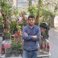 سمپاشی وباغبانی