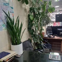 اجاره ۱۲۵ متر/کارگاه/تولیدی/انبار|اجارهٔ دفتر صنعتی، کشاورزی، تجاری|تهران, نازی‌آباد|دیوار