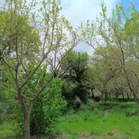 باغ روستای کهندان بهشت قم|فروش زمین و ملک کلنگی|قم, هفت تیر|دیوار