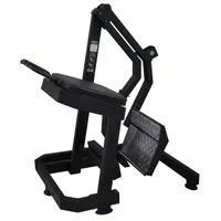 دستگاه عضلات سرینی