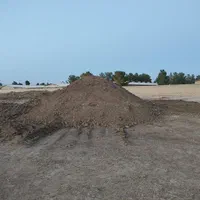 کود مرغی|خدمات باغبانی و درختکاری|صفادشت, |دیوار