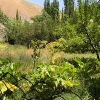 زمین فنس کشی در روستای وارنگه رود واقع در بافت ده|فروش زمین و ملک کلنگی|آسارا, |دیوار