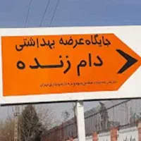 گوسفندزنده(دامداران تهران)سالم وبهداشتی