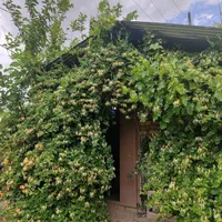 باغ ویلا عموداراب|اجارهٔ کوتاهمدت ویلا و باغ|خرمآباد, |دیوار