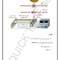 تایپ انواع متون و ویس و ترجمه و پاورپوینت و اکسل|خدمات رایانه‌ای و موبایل|کرمان, |دیوار