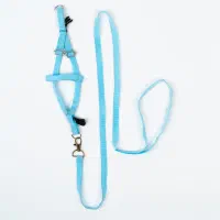 قلاده خوکچه خرگوش جونده