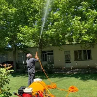 سمپاشی برنامه تقویتی درختان سم پاشی باغبانی