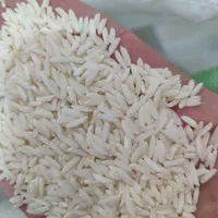 برنج مامان(اصل ممان میانه)|خوردنی و آشامیدنی|زنجان, |دیوار