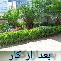 علف زدن زمین با دستگاه|خدمات باغبانی و درختکاری|رشت, دیانتی|دیوار