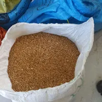 گندم و جو