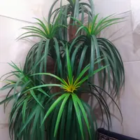 درخت مصنوعی