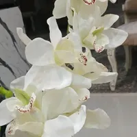 گل ارکیده لمسی