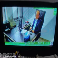 تلوزیون