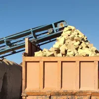 اجر زرد هوفمان