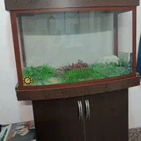 آکواریوم