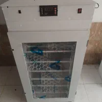 دستگاه جوجه کشی تمام اتومات 1000 تایی|ماشین‌آلات صنعتی|شیراز, کوشک میدان|دیوار