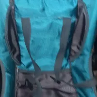 کریر بچه نو به همراه آفتابگیرش