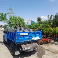 زامیاد Z 24 دوگانه سوز، مدل ۱۳۹۲|خودرو سواری و وانت|تهران, شهران شمالی|دیوار