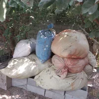 تور۲۰میل ماهی کفال