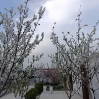 باغ استخرداخل ابگرم معاوضه  آپارتمان ماشین نانوایی|فروش دفتر صنعتی، کشاورزی، تجاری|مشهد, امیریه|دیوار