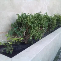 باغبانی و طراحی و اجرا صفر تا صد فضای سبز|خدمات باغبانی و درختکاری|مشهد, هفت تیر (آب و برق)|دیوار