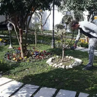 خدمات باغبانی|خدمات باغبانی و درختکاری|نوشهر, |دیوار