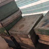 کندو  و  طبق و قاب استاندارد  با قیمت بسیار مناسب|لوازم جانبی حیوانات|املش, |دیوار