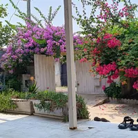 باغ ویلا 500متری /فرودگاه نوشهر/اجاره روزانه|اجارهٔ کوتاه‌مدت آپارتمان و سوئیت|نوشهر, |دیوار