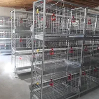 قفس مرغ و قفس بلدرچین صادراتی