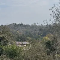 300-متر-زمین-قابل-ساخت-جای-جنگلی-بابلکنار