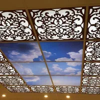 سقف استخر و سقف لمبه و سقف شبکه|خدمات پیشه و مهارت|تنکابن, |دیوار